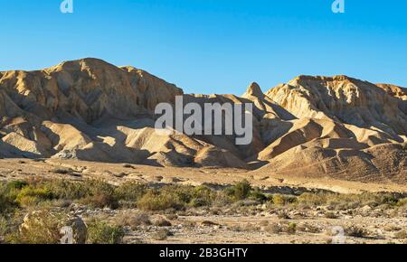 Lit de ruisseau TSIN devant des collines de boue beige et un ciel bleu clair regardant vers Midreshet Ben Gurion et Sde Boker kibbutz dans les Highlands du Negev en I Banque D'Images