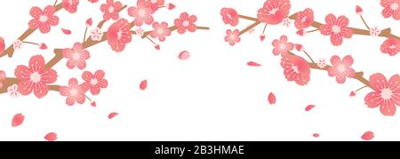 Illustration du fond des cerisiers en fleurs ( thème de la saison du printemps ) Illustration de Vecteur