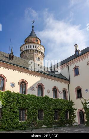 Château de Sychrov avec façade rose typique. Château de style néo-gothique avec beau parc de style anglais en été. Bohemian Paradise, République Tchèque Banque D'Images