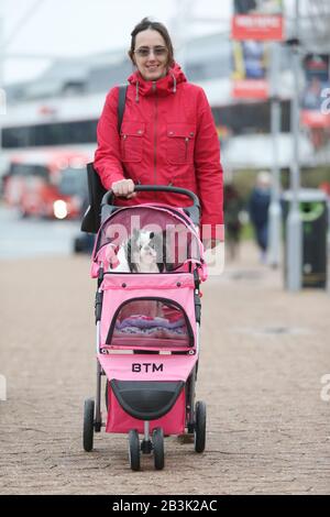 Birmingham, Royaume-Uni. 5 mars 2020. NEC Birmingham, Royaume-Uni. Les chiens et leurs propriétaires descendent au spectacle NEC Crufts 2020 pour les catégories Day One - Utility et Toy. Crédit: Peter Loppeman/Alay Live News Banque D'Images