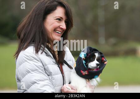 Birmingham, Royaume-Uni. 5 mars 2020. NEC Birmingham, Royaume-Uni. Les chiens et leurs propriétaires descendent au spectacle NEC Crufts 2020 pour les catégories Day One - Utility et Toy. Crédit: Peter Loppeman/Alay Live News Banque D'Images