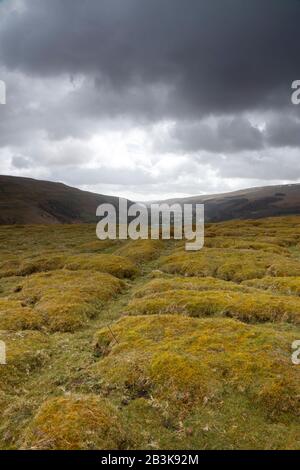 Vue sur Upper Wharfedale depuis Hubberholme, Yorkshire Dales, Yorkshire, Angleterre, Royaume-Uni Banque D'Images