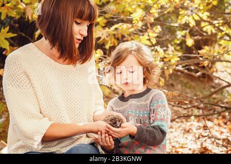 Maman et ses filles sont détenues par un petit hérisson. Peinture d'automne tactile, feuilles d'automne jaunes en arrière-plan Banque D'Images