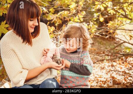 Maman et ses filles sont détenues par un petit hérisson. Peinture d'automne tactile, feuilles d'automne jaunes en arrière-plan Banque D'Images