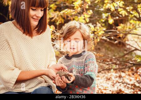 Maman et ses filles sont détenues par un petit hérisson. Peinture d'automne tactile, feuilles d'automne jaunes en arrière-plan Banque D'Images