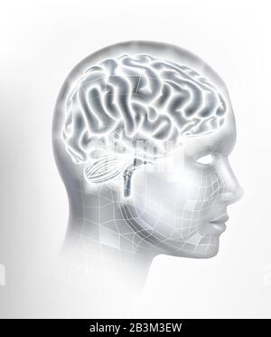 Cerveau Humain Ai Tête Visage Concept D'Intelligence Illustration de Vecteur