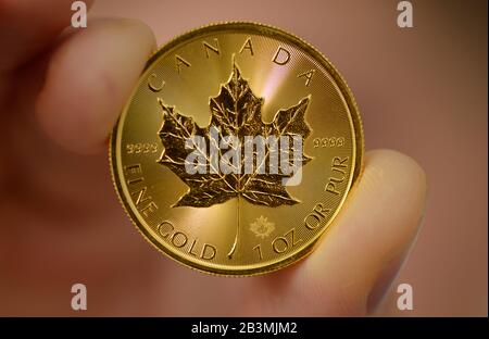 1 Unze, feuille d'érable canadienne, Goldmuenze Banque D'Images