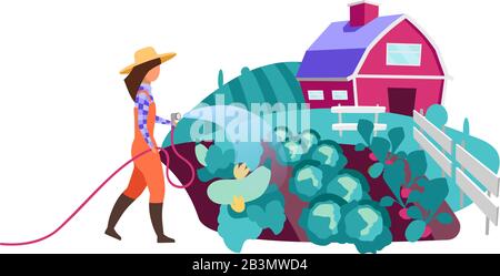 Femme fermier arrosant jardin de légumes plat caractère vectoriel. Ouvrier agricole avec tuyau d'eau. Cultures végétales biologiques, plantation. Terres Agricoles Illustration de Vecteur
