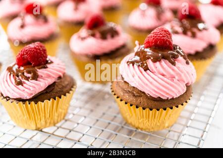 Des cupcakes au chocolat gourmets, arrosés de ganache au chocolat et recouverts d'une framboise fraîche. Banque D'Images
