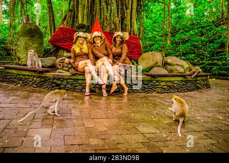 Femmes posant avec les singes pour une photo à la forêt des singes sacrés, où vivent 700 singes, Ubud, Bali, Indonésie, Asie du Sud-est, Asie Banque D'Images