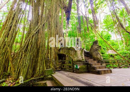 La Forêt Des Singes Sacrés, Qui Abrite 700 Singes, Ubud, Bali, Indonésie, Asie Du Sud-Est, Asie Banque D'Images