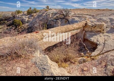 Un journal pétrifié appelé le pont Agate dans le parc national de la forêt pétrifiée, Arizona, États-Unis d'Amérique, Amérique du Nord Banque D'Images