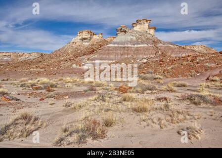 Des Hoodoos Imposants Dans La Forêt De Jasper Du Parc National De La Forêt Pétrifiée, Arizona, États-Unis D'Amérique, Amérique Du Nord Banque D'Images