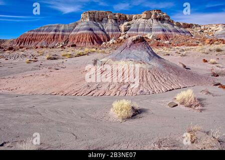 Monticules et falaises d'argile expansive appelée Bentonite dans la forêt de Jasper du parc national de la forêt pétrifiée, Arizona, États-Unis d'Amérique, Nord Banque D'Images