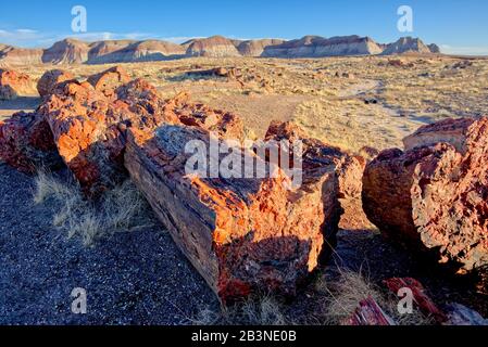 Vue sur le parc national de la forêt pétrifiée depuis le long Logs Trail à l'extrémité sud du parc, Arizona, États-Unis d'Amérique, Amérique du Nord Banque D'Images