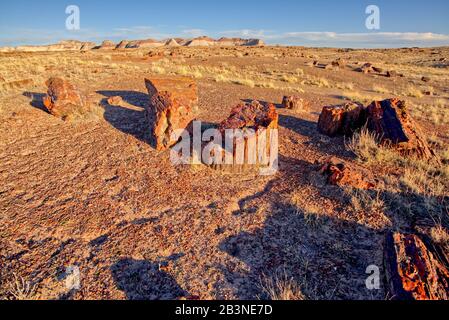 Vue sur le parc national de la forêt pétrifiée depuis le long Logs Trail à l'extrémité sud du parc, Arizona, États-Unis d'Amérique, Amérique du Nord Banque D'Images