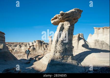 Randonnée autour de formations de grès hoodoo à Bisti/de-Na-Zin Wilderness, Nouveau Mexique, États-Unis d'Amérique, Amérique du Nord Banque D'Images