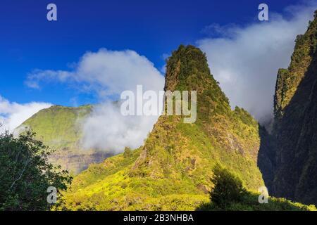 Iao Needle State Park, Maui Island, Hawaï, États-Unis D'Amérique, Amérique Du Nord Banque D'Images