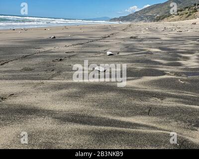 Dommages causés par l'écosystème de la rive sablonneuse contaminés par le pétrole, pollution cilento italie Banque D'Images