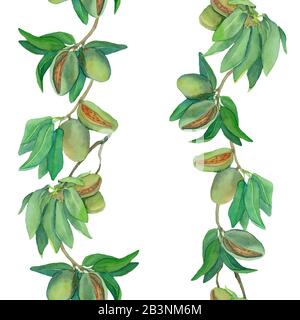 Aquarelle amande branches bordure verticale. Modèle à cadre fleuri isolé sur fond blanc. Illustration de l'aquarelle dessinée à la main. Conception pour couvercles, Banque D'Images