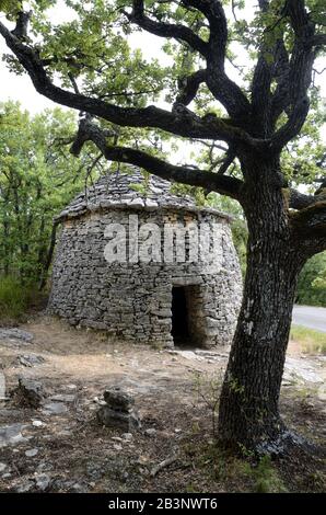 Borie Ou Cabane En Pierre Sèche En Forme De Conique Près De Banon Alpes-De-Haute-Provence Provence France Banque D'Images