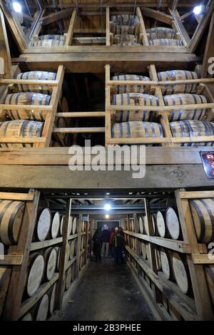 Fûts de whisky dans la caserne de Jack Daniel's Distillery.Lynchburg.Tennessee.USA Banque D'Images