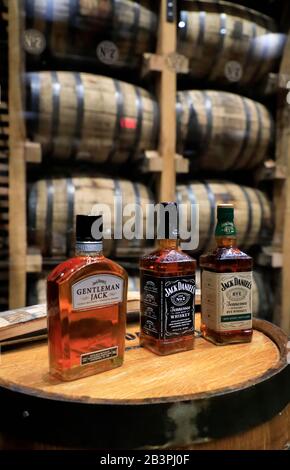 Une bouteille de Gentleman Jack, Jack Daniel No.7 et Jack Daniels Rye Whisky exposition dans le bar dégustation de la distillerie Jack Daniel.Lynchburg.Tennessee.USA Banque D'Images