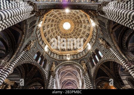 Vue intérieure du plafond du dôme de Sienne (Duomo) par jour Banque D'Images