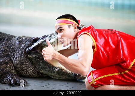 Thaïlande, PATTAYA - 02 NOVEMBRE: Traditionnel pour la Thaïlande 'comment des crocodiles' . Un gardien de zoo taise un crocodile 02 novembre 2009. Thaïlande, Pattaya Banque D'Images