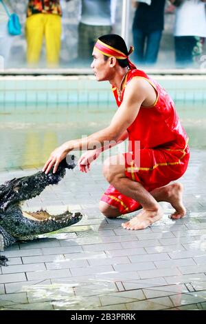 Thaïlande, PATTAYA - 02 NOVEMBRE: Traditionnel pour la Thaïlande 'comment des crocodiles' . Un gardien de zoo taise un crocodile 02 novembre 2009. Thaïlande, Pattaya Banque D'Images