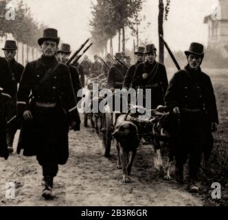 Les carabiniers belges, avec des chiens formés pour dessiner des mitrailleuses, pendant leur retraite à Anvers en août 1914. Une carabiniere était un soldat armé d'une carbine, une version plus courte d'un mousquet ou d'un fusil, plus légère et plus facile à manipuler lors d'un mouvement rapide. Le retrait à Anvers a été ordonné par le roi Albert I à la suite de la chute des forts de Liège. L'armée belge se regroupe à nouveau dans la "Redoute nationale" d'Anvers, qui comprenait plus de 40 forts et plusieurs lignes de défense. Les Allemands ont finalement lancé une attaque complète contre Anvers en septembre et la ville a été assiégée le 9 octobre. Banque D'Images