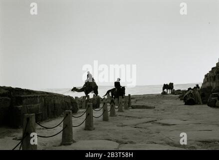 Photographie de voyage - chameaux pour les touristes aux pyramides de Giza le Caire Egypte en Afrique du Nord Moyen-Orient - sérénité Nuit calme Ethereal Banque D'Images