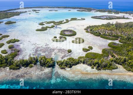 Les anneaux de mangroves poussent à l'intérieur d'un lagon insulaire éloigné dans la mer de Halmahera. Cette zone de l'Indonésie possède une biodiversité marine extrêmement élevée. Banque D'Images