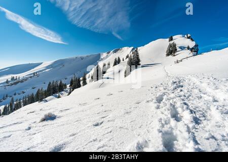 Fantastique circuit en raquettes sur la Hochgrat à Nagelfluhkette à Allgau, en Bavière Banque D'Images