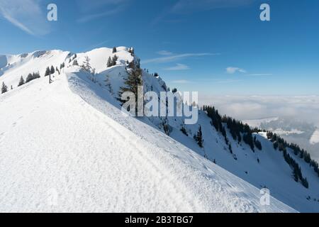 Fantastique circuit en raquettes sur la Hochgrat à Nagelfluhkette à Allgau, en Bavière Banque D'Images