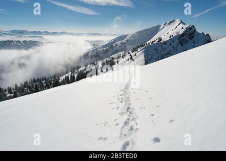 Fantastique circuit en raquettes sur la Hochgrat à Nagelfluhkette à Allgau, en Bavière Banque D'Images