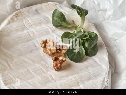 Fromage Brie avec noix sur papier blanc. DOF peu profond. Banque D'Images