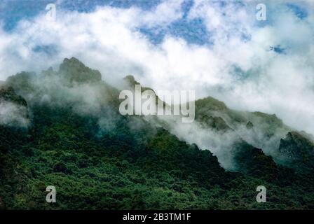 Contreforts des Andes, enveloppés dans des nuages, près de Papallacta, Équateur. Les forêts ici obtiennent l'humidité à la fois de la pluie et celle fournie par le clou Banque D'Images