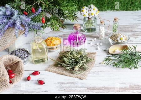 Variété d'herbes et de mélanges de plantes comme concept de médecine alternative sur fond de table en bois. Traitement de l'homéopathie. Banque D'Images