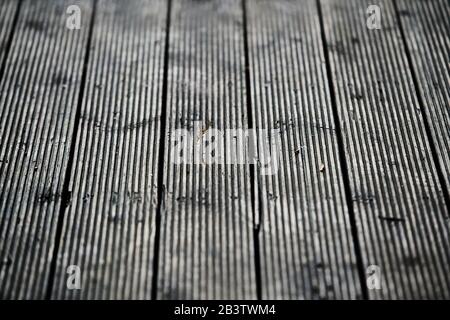 texture du plancher de bois, texture du plancher de bois dur Banque D'Images