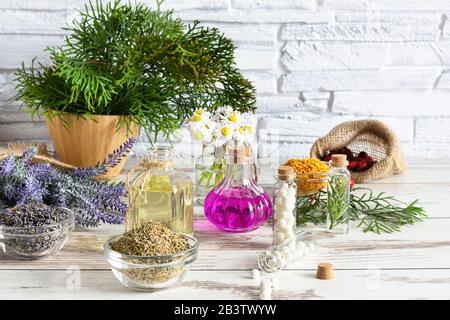 Variété d'herbes et de mélanges de plantes comme concept de médecine alternative sur fond de table en bois. Traitement de l'homéopathie. Banque D'Images