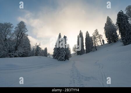 Fantastique circuit en raquettes sur la Hochgrat à Nagelfluhkette à Allgau, en Bavière Banque D'Images