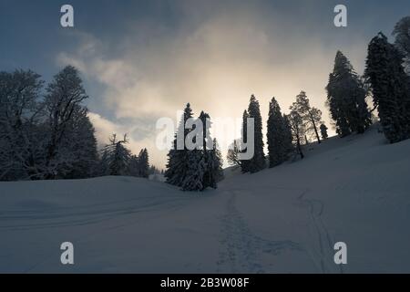 Fantastique circuit en raquettes sur la Hochgrat à Nagelfluhkette à Allgau, en Bavière Banque D'Images