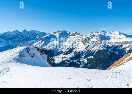 Vue sur les Alpes suisses enneigées dans la station de ski de Grindelwald. Hiver en Suisse Banque D'Images