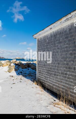 Étape le long de la rive de la baie à Ferryland, Terre-Neuve, Canada [pas de mainlevée de propriété; licence pour usage éditorial seulement] Banque D'Images