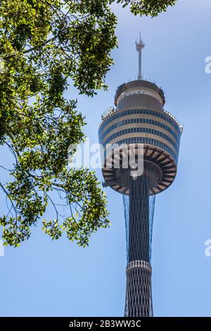 Sydney, Australie - 11 décembre 2009 : Sydney Tower Eye, gros plan de la section supérieure lourde avec une partie de l'axe de l'ascenseur contre le ciel bleu clair. Foliag vert Banque D'Images
