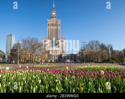 Palais de la Culture et de la science à Varsovie, Pologne. Banque D'Images