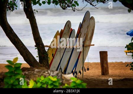 Groupe de planches de surf sur une journée ensoleillée à Bali Banque D'Images