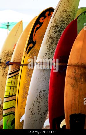 Groupe de planches de surf sur une journée ensoleillée à Bali Banque D'Images