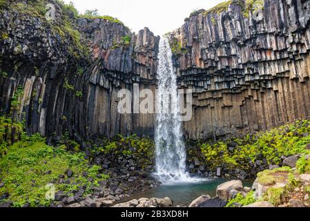 Belle et grande cascade Svartifoss avec colonnes de basalte noir sur le Sud de l'Islande, l'heure d'été Banque D'Images